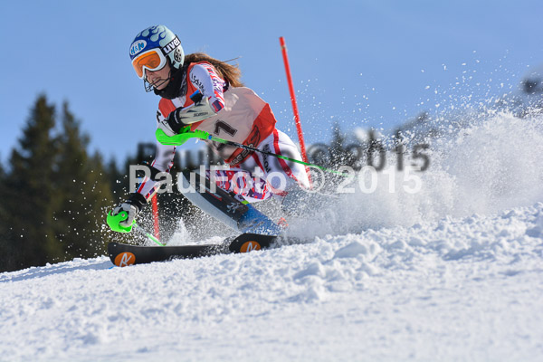 FIS-CIT SL + Bay. Jugendms 2015