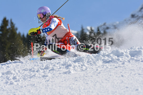 FIS-CIT SL + Bay. Jugendms 2015