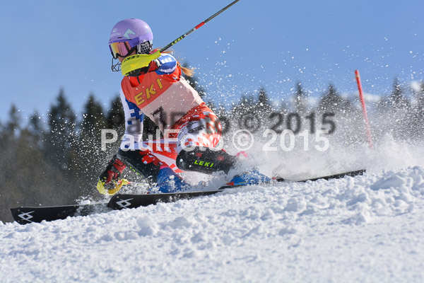 FIS-CIT SL + Bay. Jugendms 2015