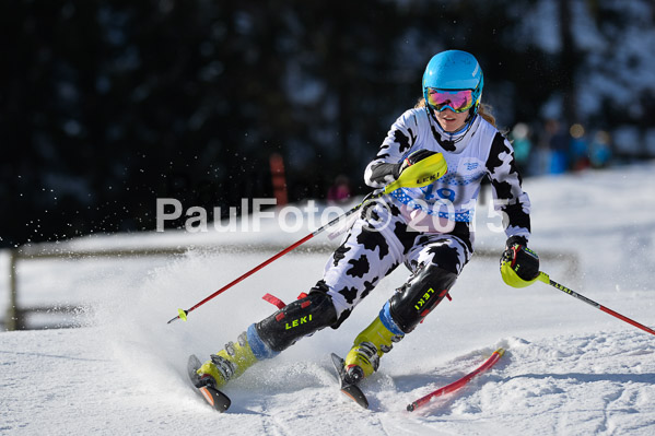 Sechzger Pokal SL 2015