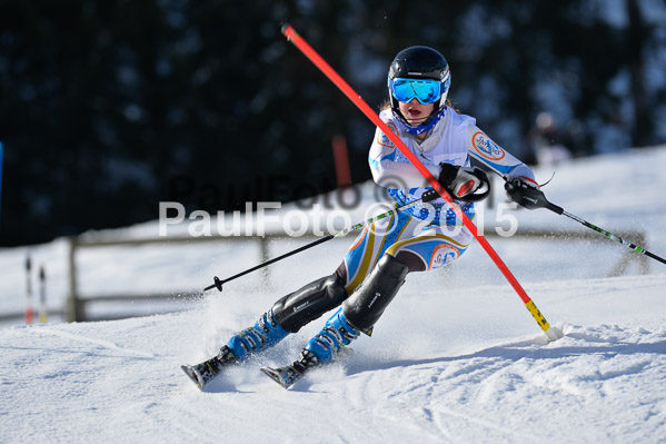 Sechzger Pokal SL 2015