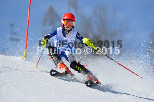 Sechzger Pokal SL 2015