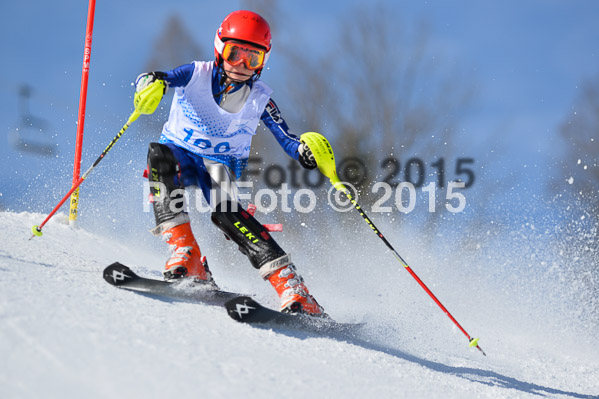 Sechzger Pokal SL 2015