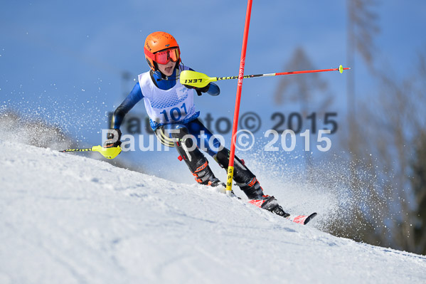 Sechzger Pokal SL 2015