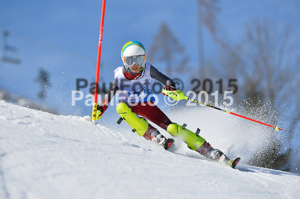 Sechzger Pokal SL 2015