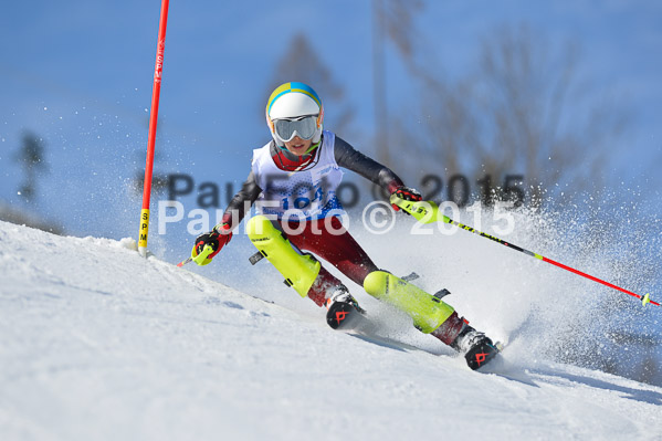 Sechzger Pokal SL 2015