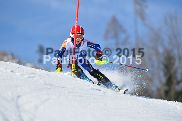 Sechzger Pokal SL 2015