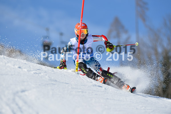 Sechzger Pokal SL 2015