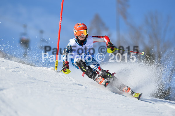 Sechzger Pokal SL 2015