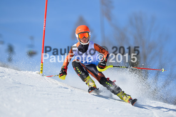 Sechzger Pokal SL 2015