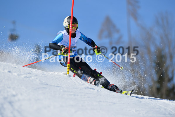 Sechzger Pokal SL 2015