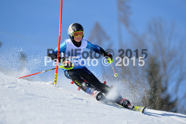 Sechzger Pokal SL 2015