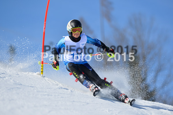 Sechzger Pokal SL 2015