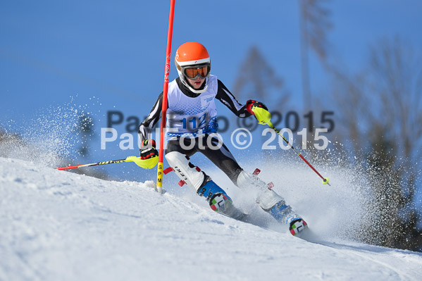 Sechzger Pokal SL 2015