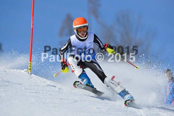 Sechzger Pokal SL 2015