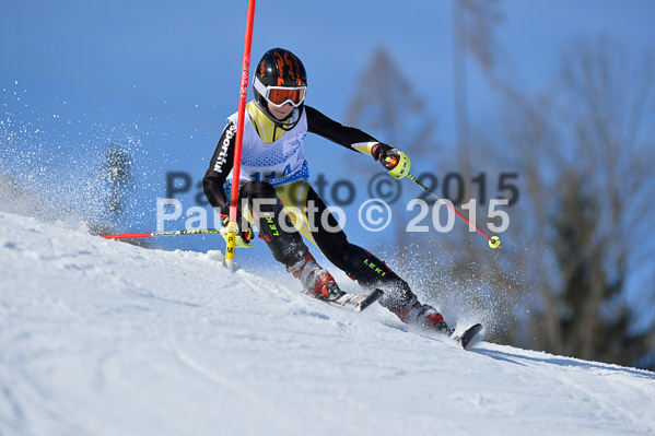 Sechzger Pokal SL 2015