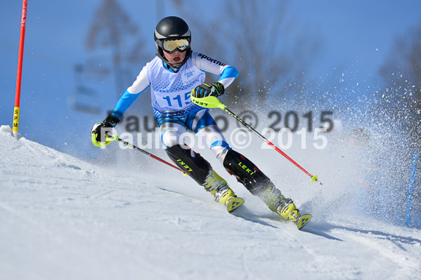 Sechzger Pokal SL 2015