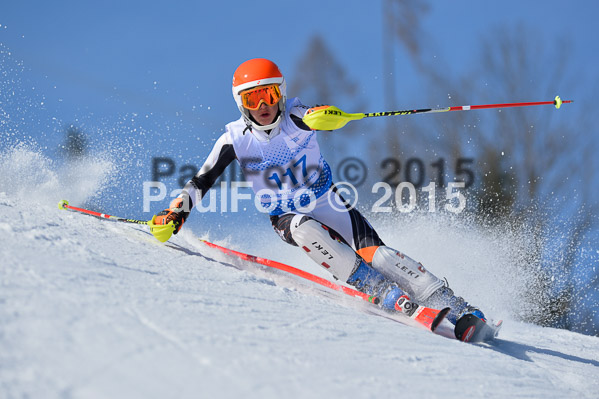 Sechzger Pokal SL 2015