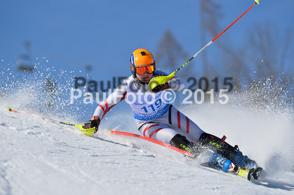 Sechzger Pokal SL 2015