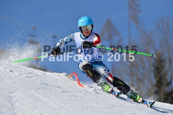 Sechzger Pokal SL 2015