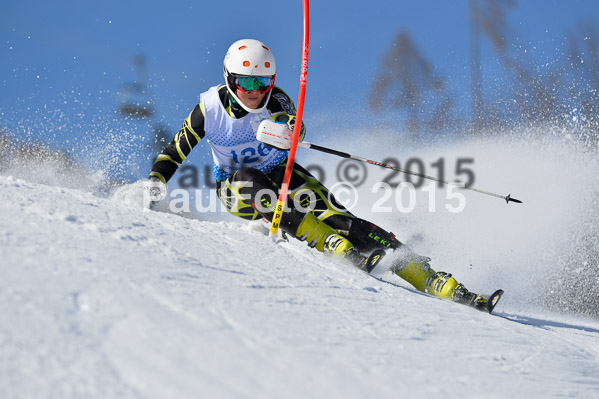 Sechzger Pokal SL 2015