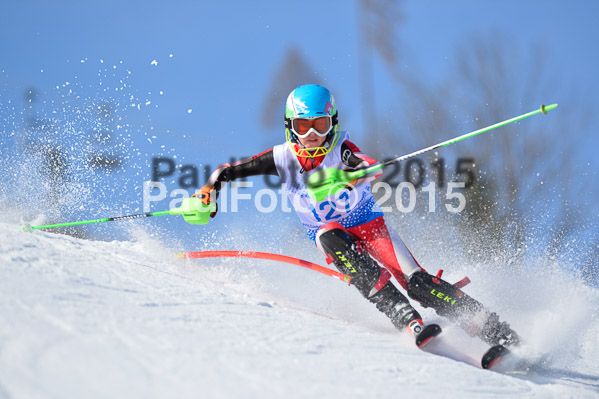 Sechzger Pokal SL 2015