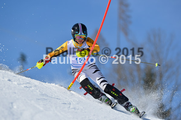 Sechzger Pokal SL 2015