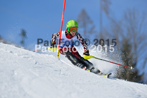 Sechzger Pokal SL 2015