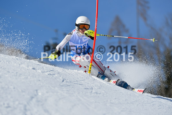 Sechzger Pokal SL 2015