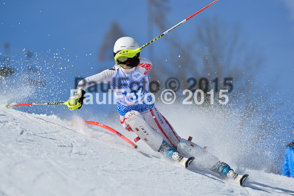 Sechzger Pokal SL 2015