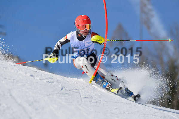 Sechzger Pokal SL 2015