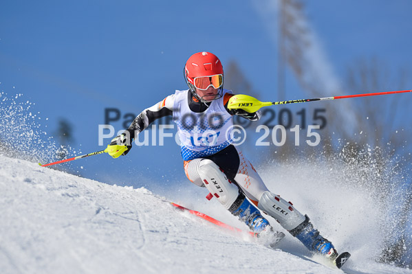 Sechzger Pokal SL 2015