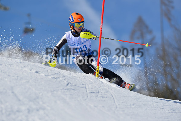 Sechzger Pokal SL 2015