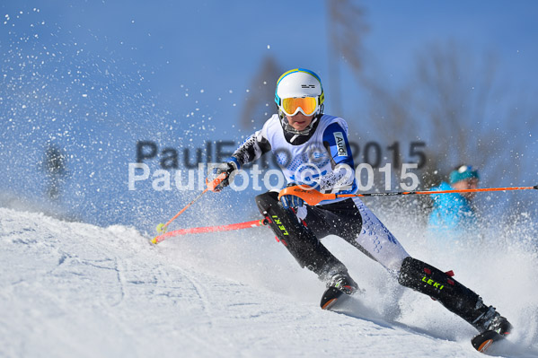 Sechzger Pokal SL 2015