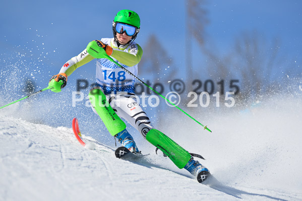 Sechzger Pokal SL 2015