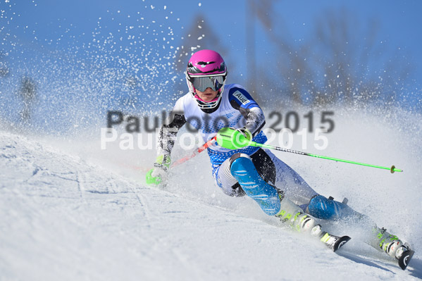 Sechzger Pokal SL 2015