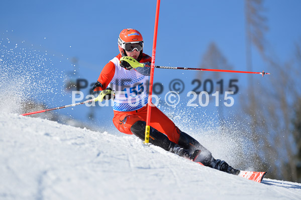 Sechzger Pokal SL 2015