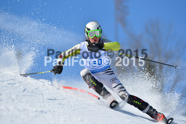 Sechzger Pokal SL 2015