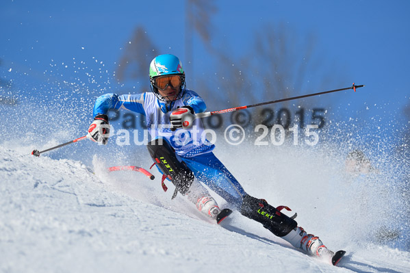 Sechzger Pokal SL 2015