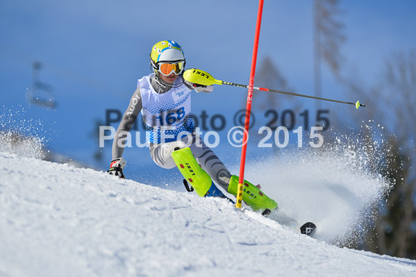 Sechzger Pokal SL 2015