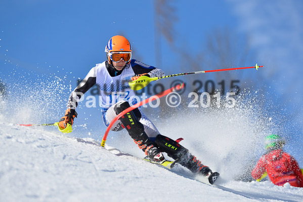 Sechzger Pokal SL 2015