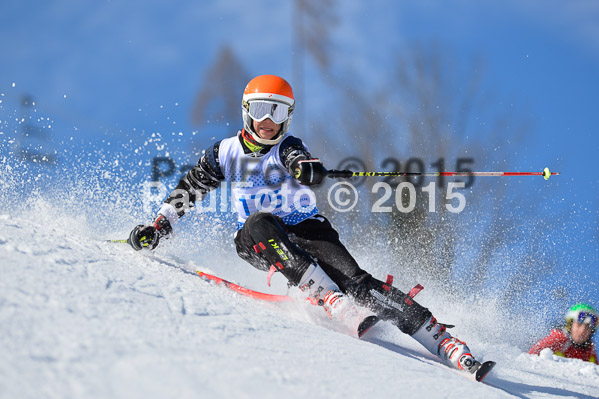 Sechzger Pokal SL 2015