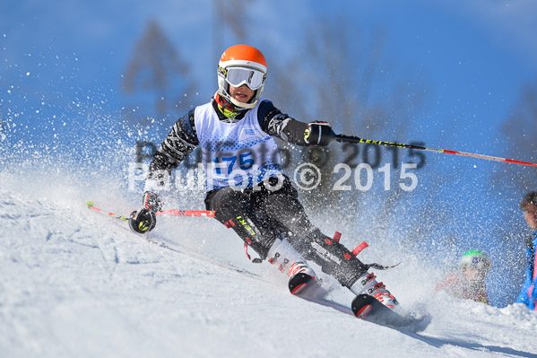 Sechzger Pokal SL 2015