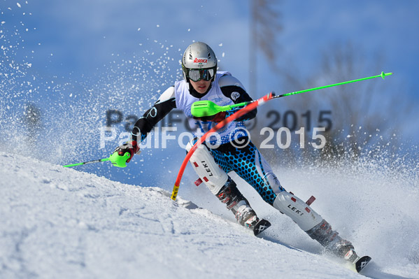 Sechzger Pokal SL 2015