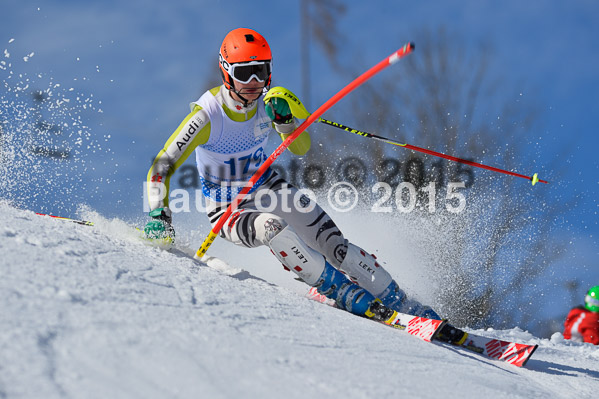 Sechzger Pokal SL 2015