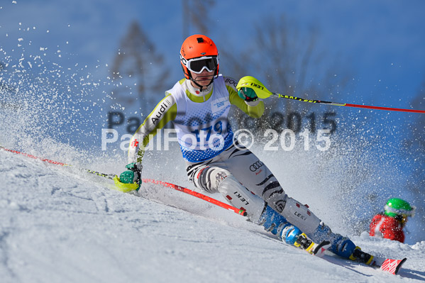 Sechzger Pokal SL 2015