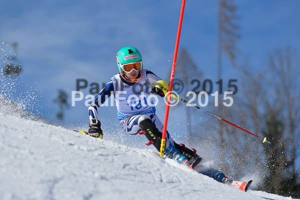 Sechzger Pokal SL 2015