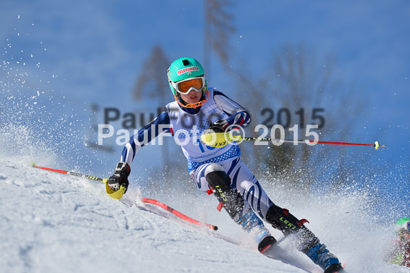 Sechzger Pokal SL 2015