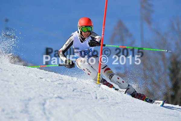 Sechzger Pokal SL 2015