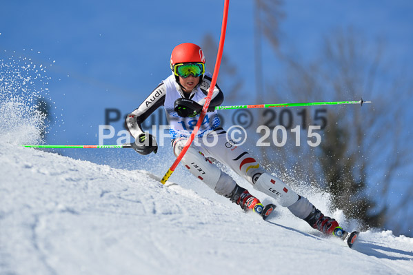 Sechzger Pokal SL 2015